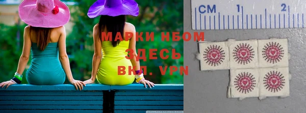 прущие грибы Аркадак