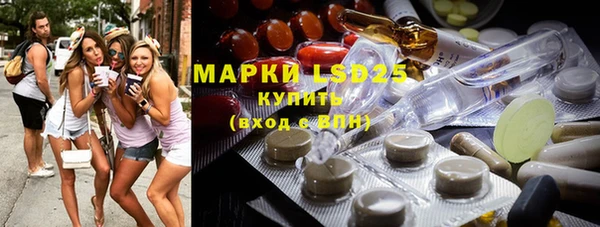 прущие грибы Аркадак