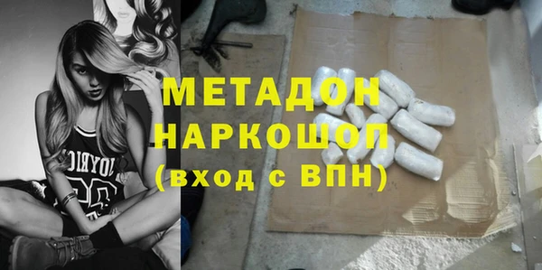 прущие грибы Аркадак